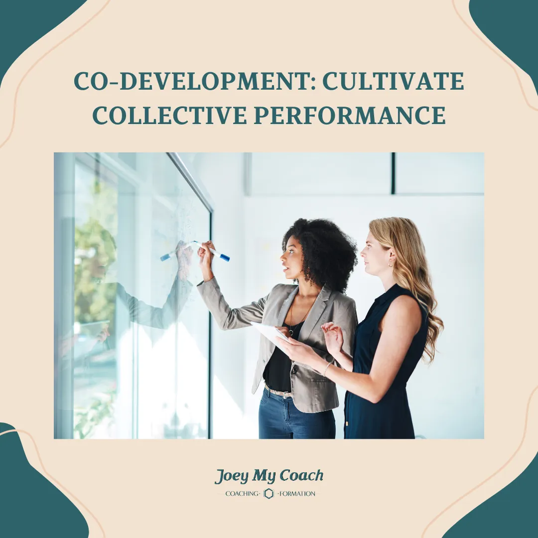 Illustration Focus on the Co-development Method: Cultivate Collective Performance